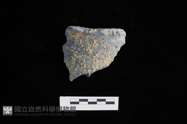 陶片藏品圖，第1張