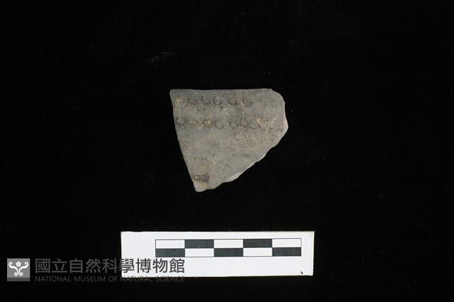 陶片藏品圖，第1張