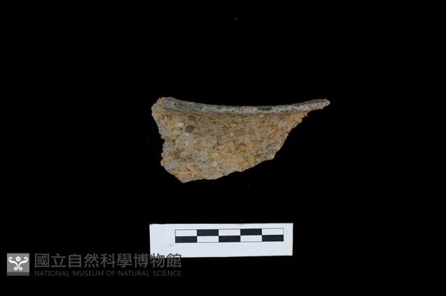 陶罐藏品圖，第1張