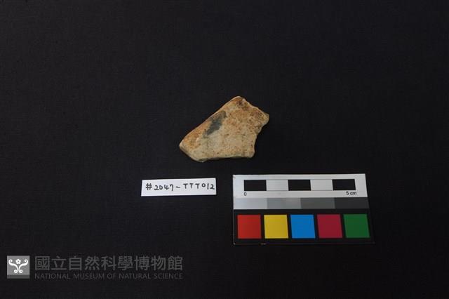 陶片藏品圖，第1張