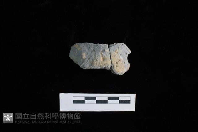 陶片藏品圖，第1張