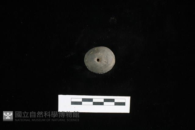 紡輪藏品圖，第1張