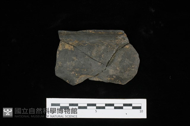 陶盆藏品圖，第1張