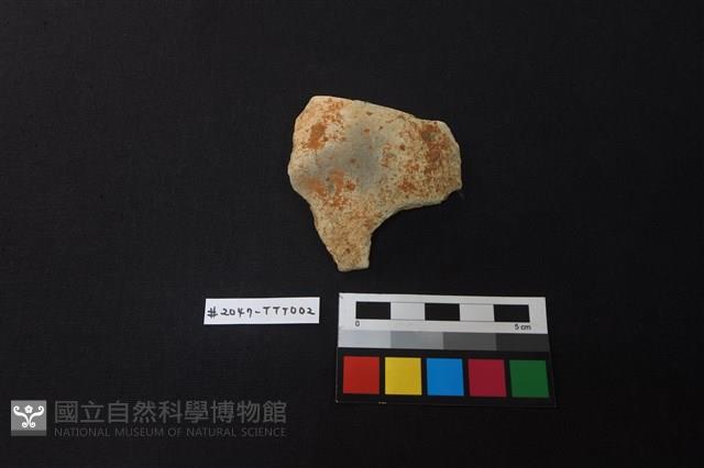 陶片藏品圖，第1張