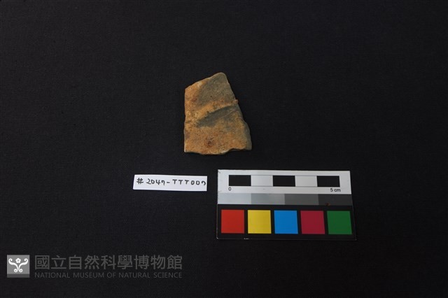 陶片藏品圖，第1張