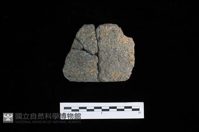 陶片藏品圖，第1張
