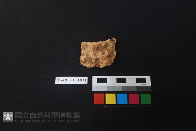 陶片藏品圖，第1張