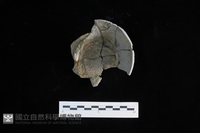 陶片藏品圖，第1張