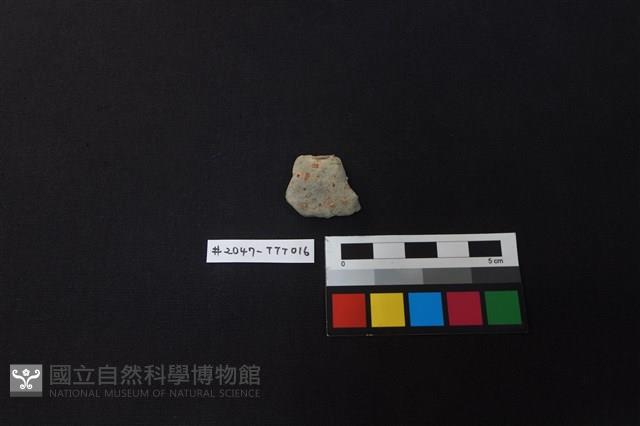 陶片藏品圖，第1張