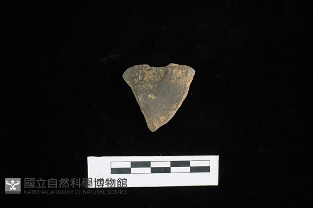陶片藏品圖，第1張