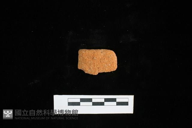 陶片藏品圖，第1張