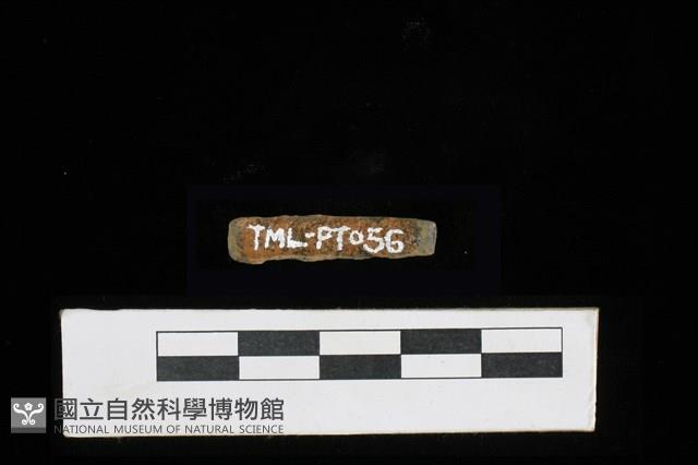 陶環藏品圖，第1張