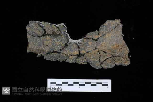 陶罐藏品圖，第1張