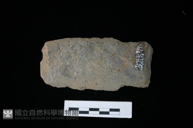 戈形器藏品圖，第1張