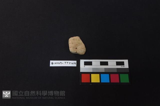 陶片藏品圖，第1張