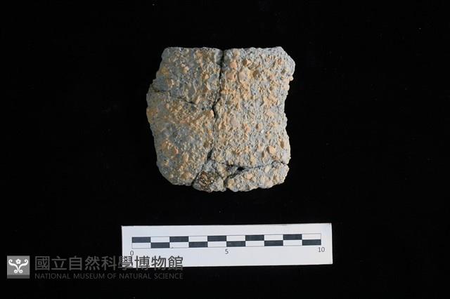 陶片藏品圖，第1張