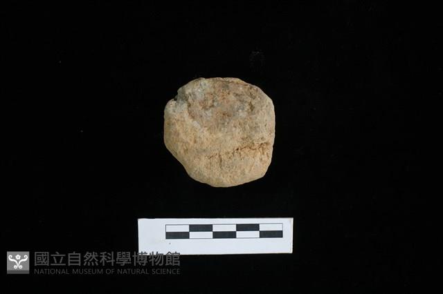 陶蓋鈕藏品圖，第1張