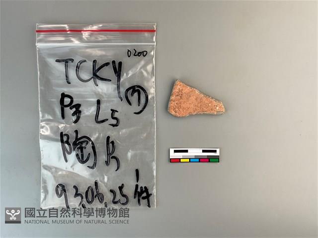 陶片藏品圖，第2張