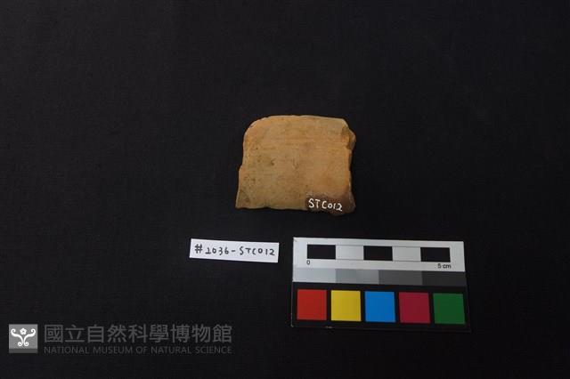 陶片藏品圖，第2張