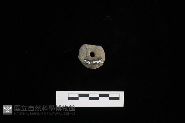 紡輪藏品圖，第2張