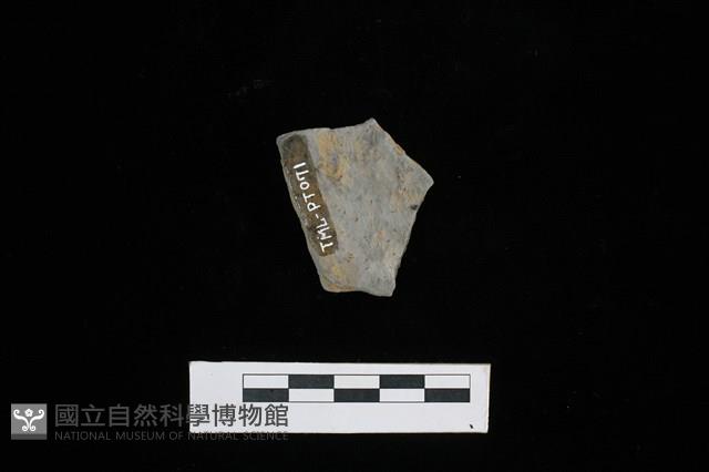 陶片藏品圖，第2張