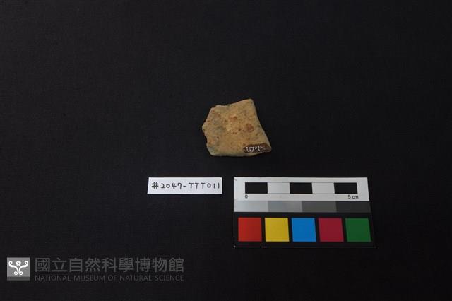 陶片藏品圖，第2張