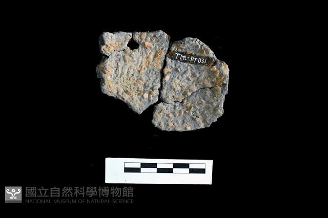陶片藏品圖，第2張