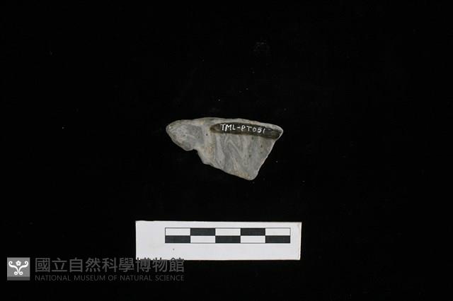 陶耳藏品圖，第2張