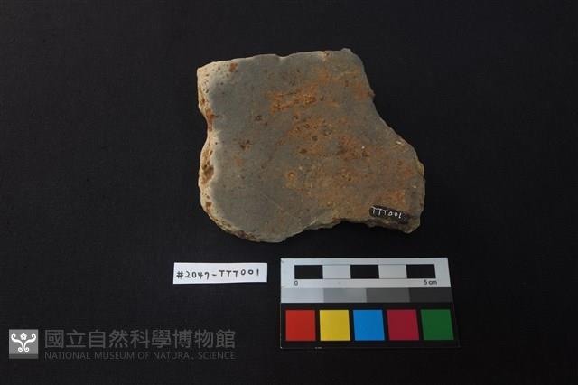 陶片藏品圖，第2張