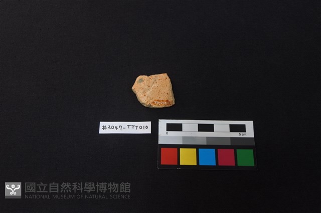 陶片藏品圖，第2張