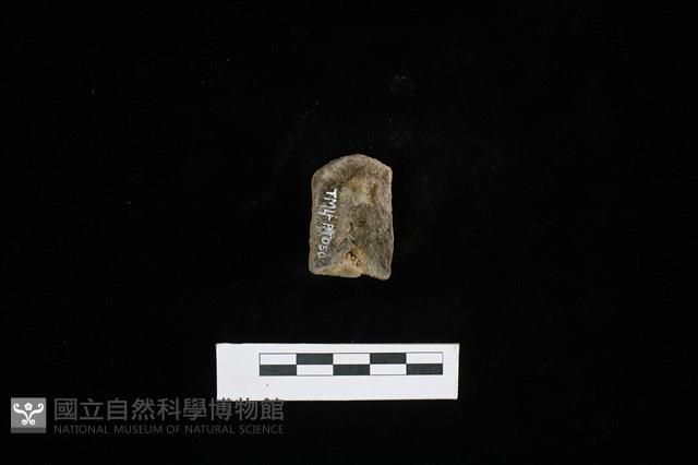 陶蓋鈕藏品圖，第2張