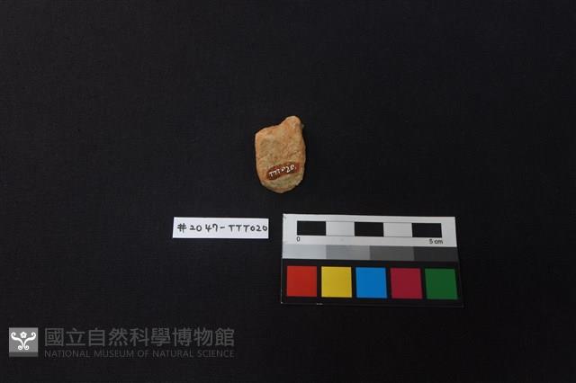 陶片藏品圖，第2張