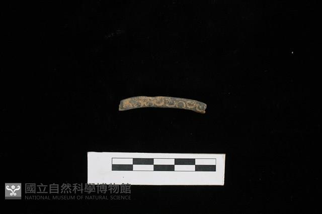 陶片藏品圖，第3張