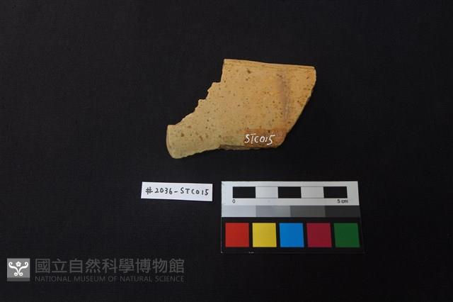 陶片藏品圖，第2張