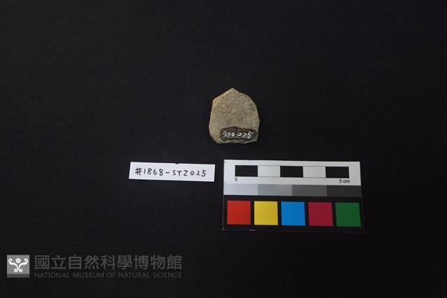 陶片藏品圖，第2張