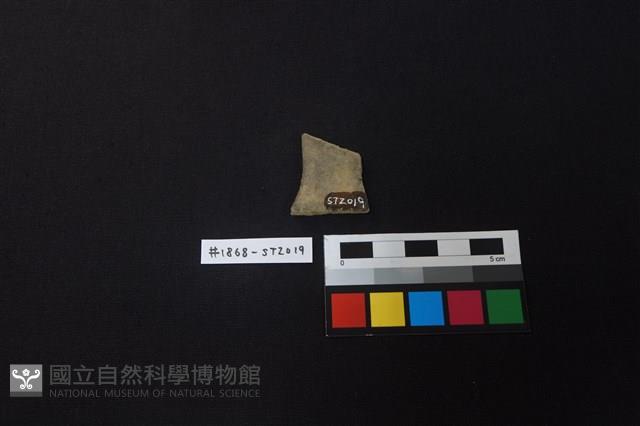 陶片藏品圖，第2張