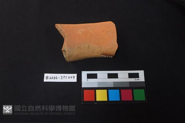 陶片藏品圖，第2張