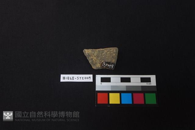 陶片藏品圖，第2張