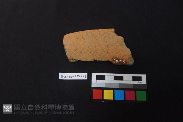 陶片藏品圖，第2張