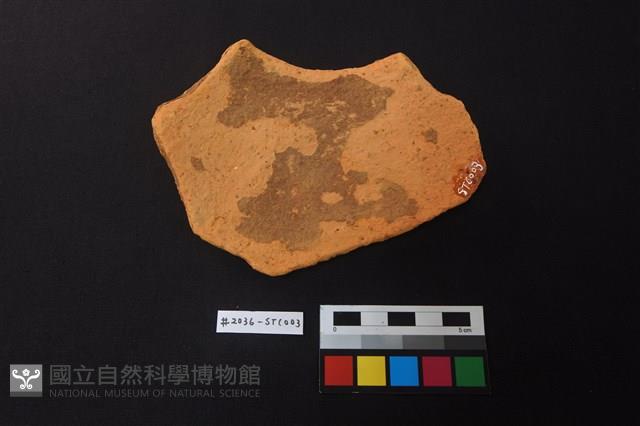 陶片藏品圖，第2張