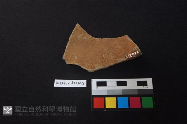 陶片藏品圖，第2張