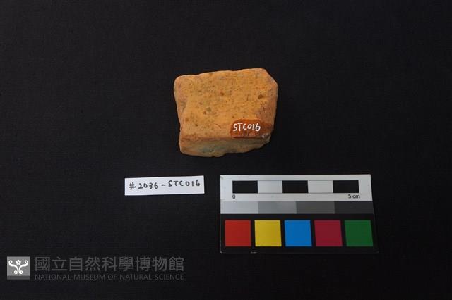 陶片藏品圖，第2張