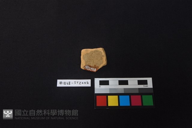 陶片藏品圖，第2張