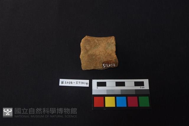 陶片藏品圖，第2張