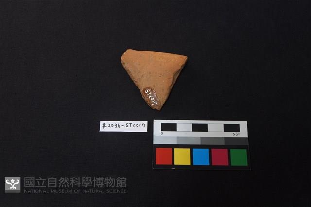 陶片藏品圖，第2張