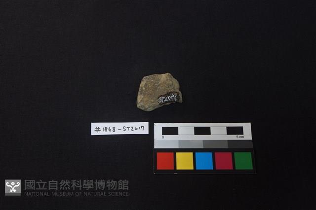 陶片藏品圖，第2張