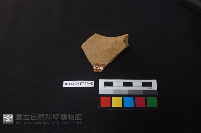 陶片藏品圖，第2張