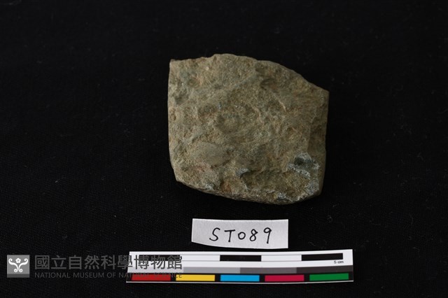 石錛藏品圖，第4張