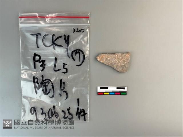 陶片藏品圖，第1張