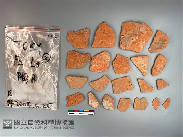 陶片藏品圖，第2張